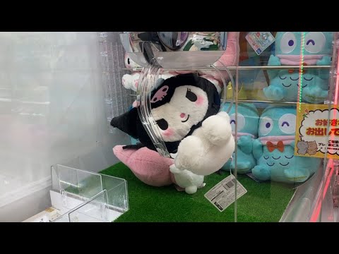 【柴犬飼い主55歳】オヤジがくろみちゃんを狙う！