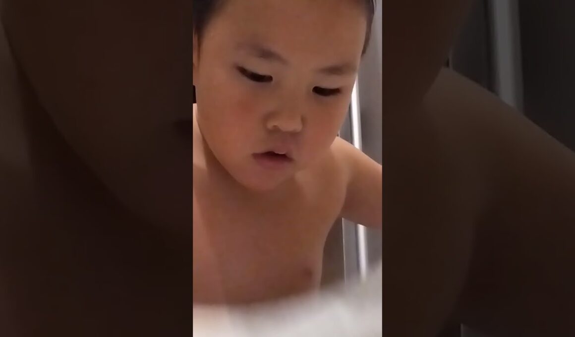 こうせいのいちにき