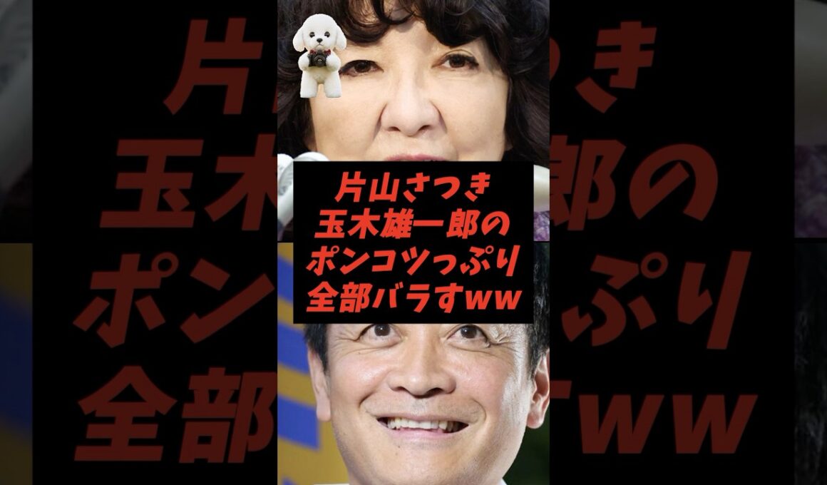 ㊗️120万再生！片山さつき玉木雄一郎のポンコツっぷり全部バラすww