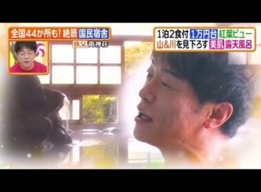 ヒルナンデス!2025年11月14日 秩父紅葉名所と公共の宿▼献立の悩み解消!!ワタミの宅食を巨匠が調査 🅵🆄🅻🅻🆂🅷🅾🆆【𝐇𝐃】