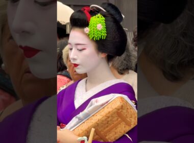 めちゃめちゃ綺麗な舞妓さん👘Kyoto