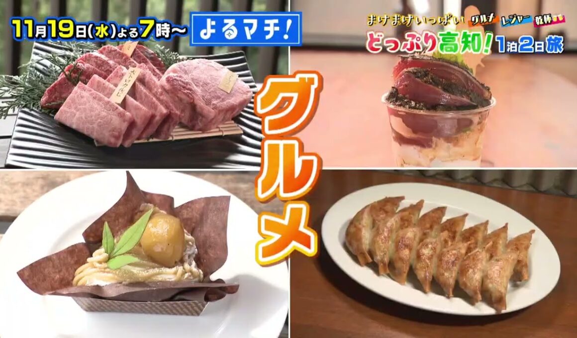 【番宣】高知に泊まろう！まけまけいっぱい！どっぷり高知！1泊2日旅▽よるマチ！2025/11/19（水）よる７時！