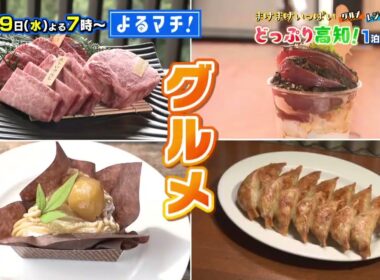 【番宣】高知に泊まろう！まけまけいっぱい！どっぷり高知！1泊2日旅▽よるマチ！2025/11/19（水）よる７時！