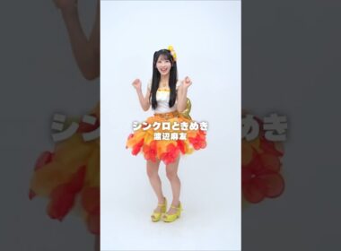 AKB48 佐藤綺星 リクエスト衣装は渡辺麻友さんソロ曲 #シンクロときめき 💘 #あいちゃん  #AKB48 #AKB48_20thYear