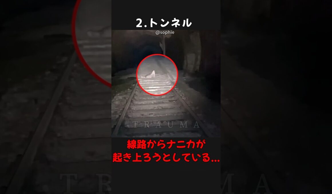 【トラウマ注意!】カメラが捉えた背筋が凍る心霊・恐怖映像! #shorts #心霊 #ゆっくり解説