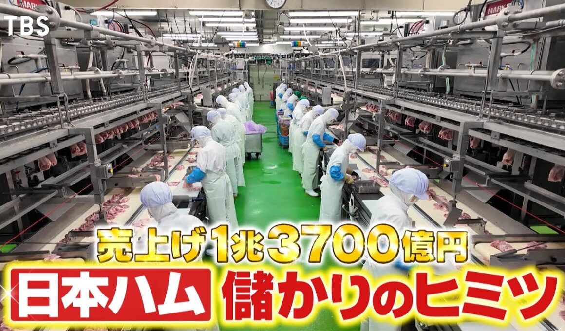 『がっちりマンデー!!』社長出演！売上げ1兆円超え⁉︎日本ハムのヒミツ 11/23(日)【TBS】
