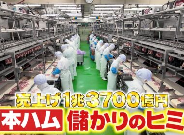 『がっちりマンデー!!』社長出演！売上げ1兆円超え⁉︎日本ハムのヒミツ 11/23(日)【TBS】