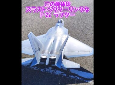 離陸するスラストベクターリングなF-22ラプター #ラジコン飛行機