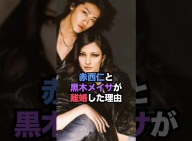 赤西仁と黒木メイサが離婚した理由