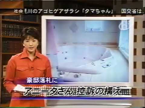 豊田順子　2002年