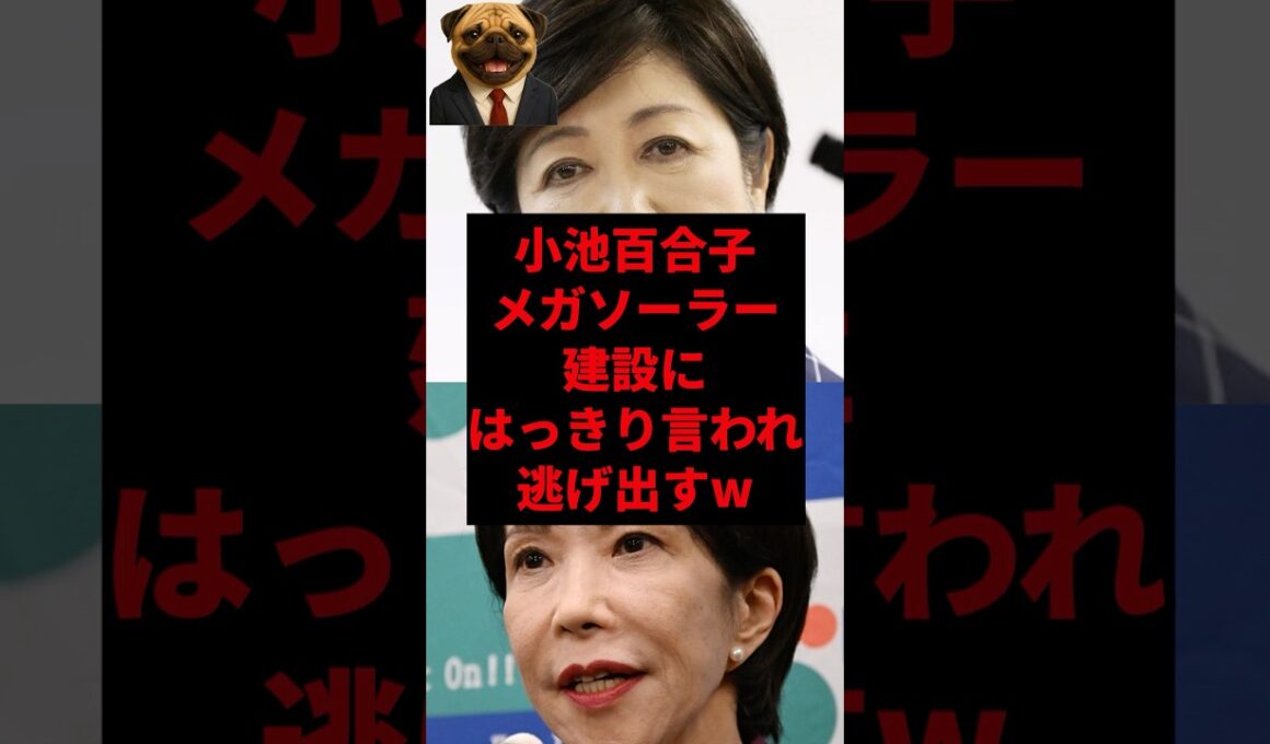 小池百合子メガソーラー建設にはっきり言われ逃げ出すw