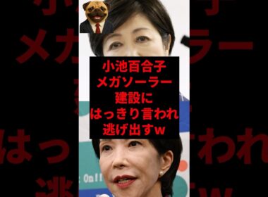 小池百合子メガソーラー建設にはっきり言われ逃げ出すw