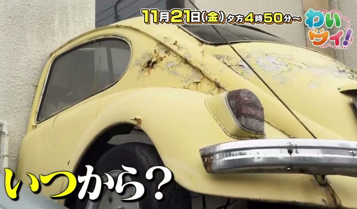 【番宣】日曜劇場「ザ・ロイヤルファミリー」原作　早見和真さん生出演！▽マチこえ調査隊　壁に車が!?　その謎は一体⋯▽2025/11/21（金）午後4時50分から