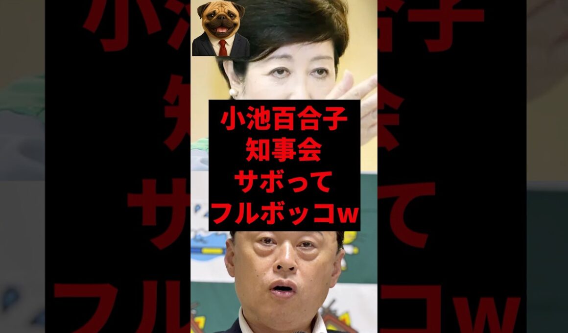 小池百合子、知事会サボってフルボッコw