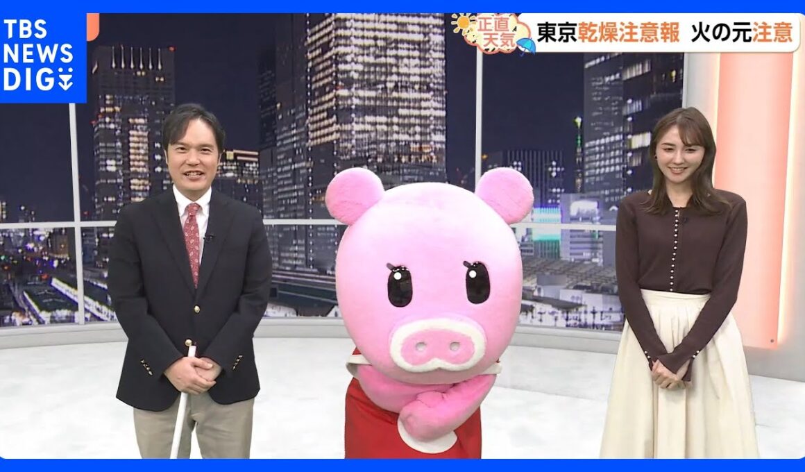 【11月20日 関東の天気】20日は南部ほど雲広がる　連休は紅葉日和へ｜TBS NEWS DIG