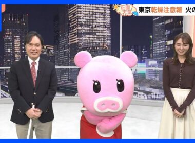 【11月20日 関東の天気】20日は南部ほど雲広がる　連休は紅葉日和へ｜TBS NEWS DIG