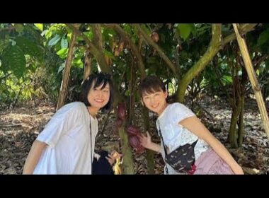 「平井理央、まさかの起業…！“罪悪感ゼロのチョコ”に込めた想いとは🍫✨」