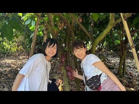 「平井理央、まさかの起業…！“罪悪感ゼロのチョコ”に込めた想いとは🍫✨」