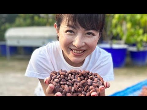 🍫✨💼🌸💖👩‍💼平井理央、チョコレートブランド起業！甘さと健康を両立する新たな挑戦