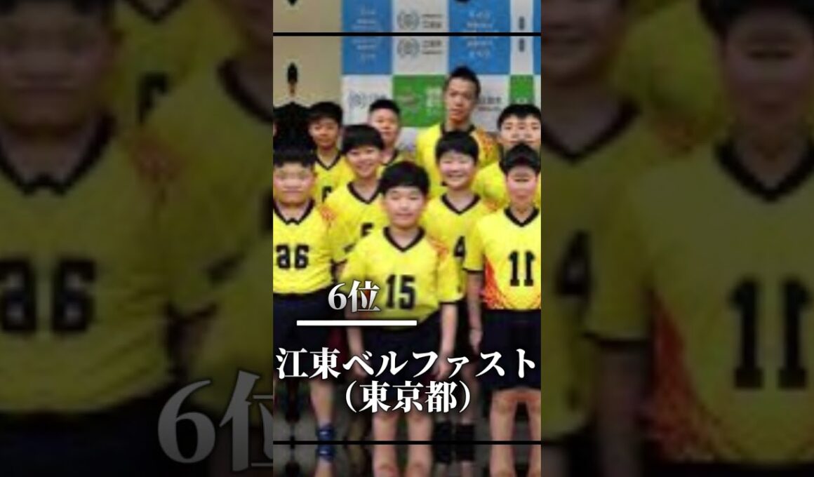 第33回春の全国小学生ドッジボール大会TOP16