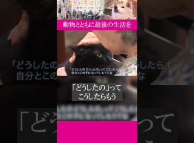 特別養護老人ホーム「加賀屋の森」では高齢者たちが、犬や猫と一緒に暮らしています。動物とともに最後の生活を｜#いおりがそばに#ドキュメンタリー #ザ・ドキュメント#shorts