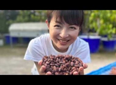 平井理央「タイのランパーンまでカカオ豆を視察」チョコレートで起業し奮闘した1年「低GIで乳酸菌約1000億個のチョコを」