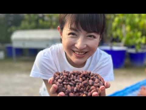 平井理央「タイのランパーンまでカカオ豆を視察」チョコレートで起業し奮闘した1年「低GIで乳酸菌約1000億個のチョコを」