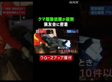 クマ駆除依頼が殺到…猟友会の限界とは【クロ現】| NHK | #shorts
