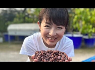 平井理央「タイのランパーンまでカカオ豆を視察」チョコレートで起業し奮闘した1年「低GIで乳酸菌約1000億個のチョコを」