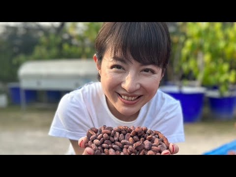 平井理央「タイのランパーンまでカカオ豆を視察」チョコレートで起業し奮闘した1年「低GIで乳酸菌約1000億個のチョコを」