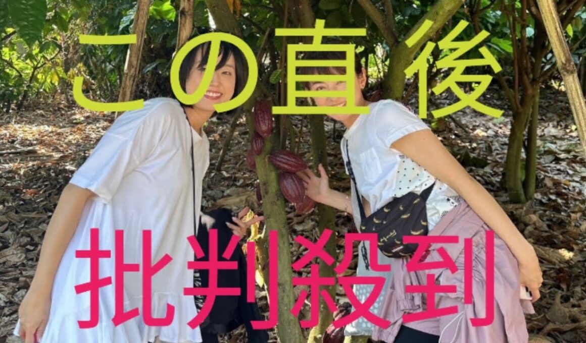 平井理央「タイのランパーンまでカカオ豆を視察」チョコレートで起業し奮闘した1年「低GIで乳酸菌約1000億個のチョコを」