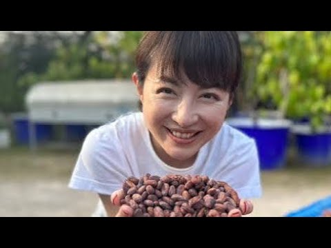 平井理央「タイのランパーンまでカカオ豆を視察」チョコレートで起業し奮闘した1年「低GIで乳酸菌約1000億個のチョコを」