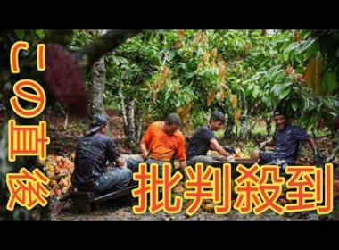 平井理央「タイのランパーンまでカカオ豆を視察」チョコレートで起業し奮闘した1年「低GIで乳酸菌約1000億個のチョコを# videos # news # films #