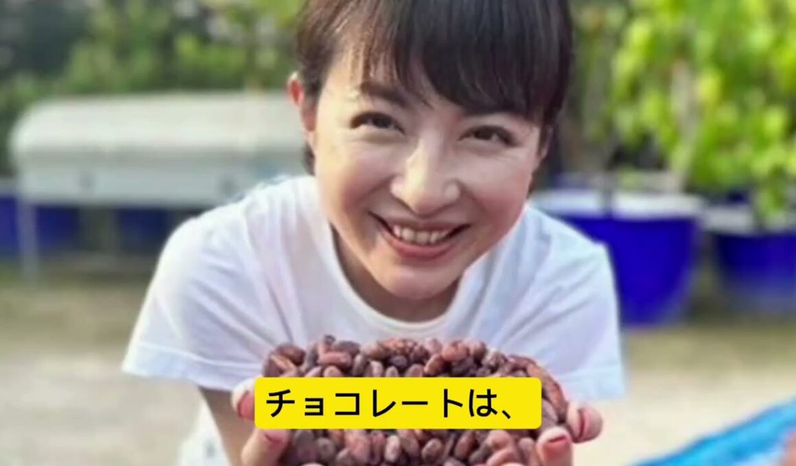 「罪悪感のないチョコ」を作りたい――元アナ平井理央の知られざる挑戦🍫✨
