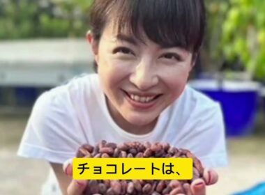 「罪悪感のないチョコ」を作りたい――元アナ平井理央の知られざる挑戦🍫✨