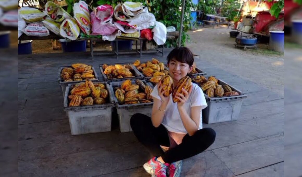 平井理央「タイのランパーンまでカカオ豆を視察」チョコレートで起業し奮闘した1年「低GIで乳酸菌約1000億個のチョコを」
