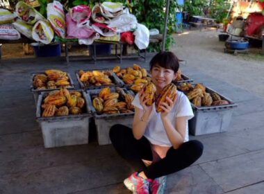 平井理央「タイのランパーンまでカカオ豆を視察」チョコレートで起業し奮闘した1年「低GIで乳酸菌約1000億個のチョコを」