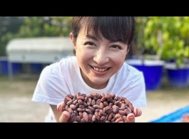 🍫✨💼平井理央、チョコレートブランドで起業！甘さと健康を両立する挑戦