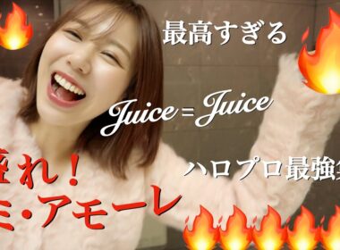【Juice=Juice】盛れミアモーレ武道館公演が神過ぎ！大興奮ハロプロオタクJuice=Juice Concert 2025 Queen of Hearts Special Flushリアクション