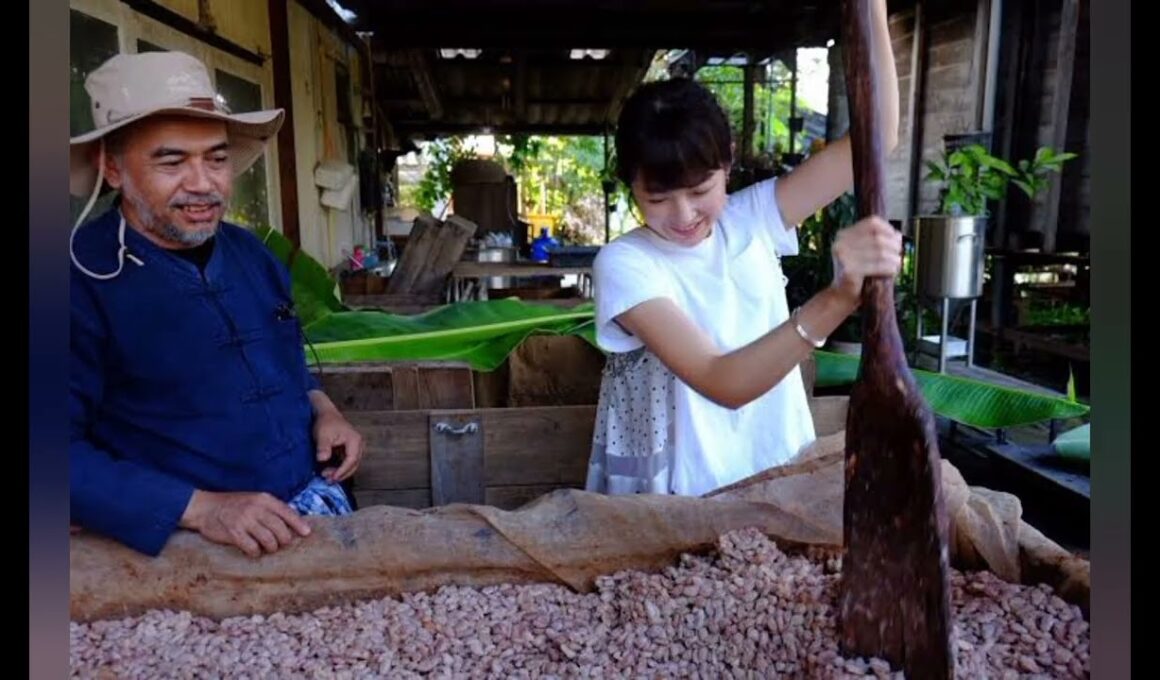 平井理央「タイのランパーンまでカカオ豆を視察」チョコレートで起業し奮闘した1年「低GIで乳酸菌約1000億個のチョコを」