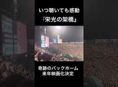【名場面】まじで泣ける。4万人の阪神ファンによる栄光の架橋大合唱　#阪神　#横田慎太郎　#栄光の架橋
