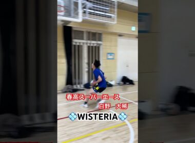 化け物すぎる⁉️⁉️ #wisteria #バレーボール #春高バレー #白野大稀#fyp #fypシ