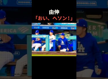 ㊗️100万再生‼️山本由伸とキムヘソンのグータッチ👊 #大谷翔平 #mlb #dodgers #ドジャース #野球  #baseball  #キムヘソン #山本由伸