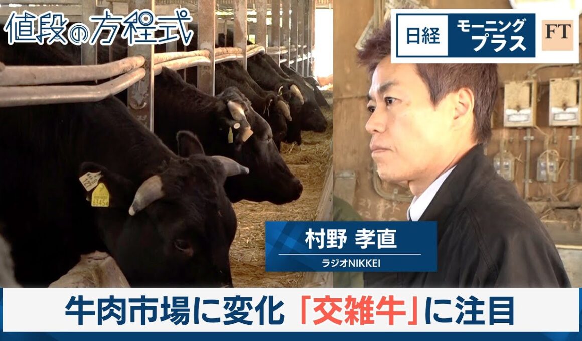 牛肉市場に変化　「交雑牛」に注目【日経モープラFT】