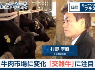 牛肉市場に変化　「交雑牛」に注目【日経モープラFT】