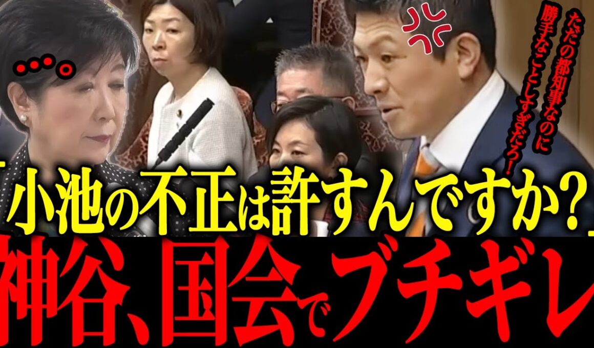 【小池百合子】※遂に小池の本性が暴露され、政治家生命終了【佐藤沙織里 消費税 東京都議会本会議】