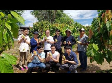 平井理央「タイのランパーンまでカカオ豆を視察」チョコレートで起業し奮闘した1年「低GIで乳酸菌約1000億個のチョコを」