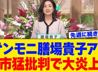 【衝撃】サンモニ膳場貴子アナ、とんでもない一言でまた大炎上ｗｗｗｗｗｗTBSの台本通りの返しがこちらｗｗｗｗｗｗ