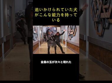 追いかけられていた犬がこんな能力を持っている