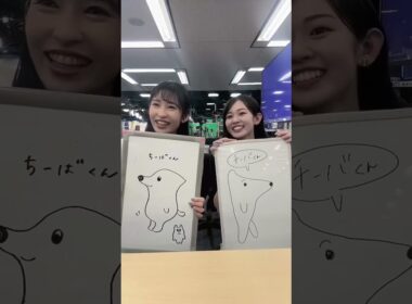 【山岸愛梨・青原桃香】「記憶力イラスト」対決🎨【チーバくん】